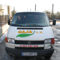 gaja